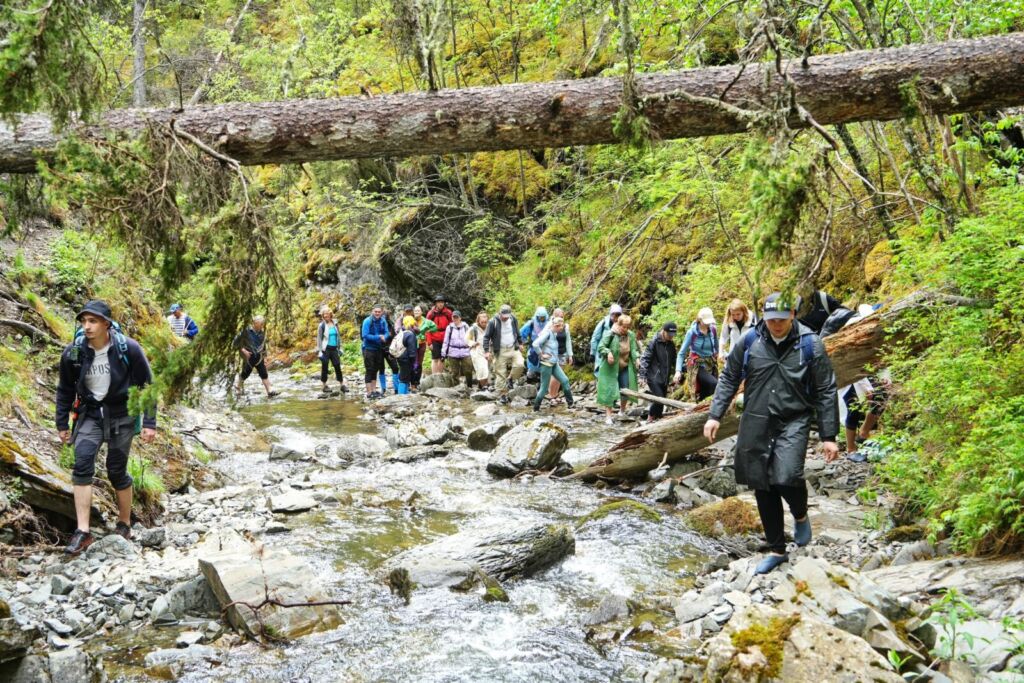 Алтай — Шинокские водопады и Денисова пещера