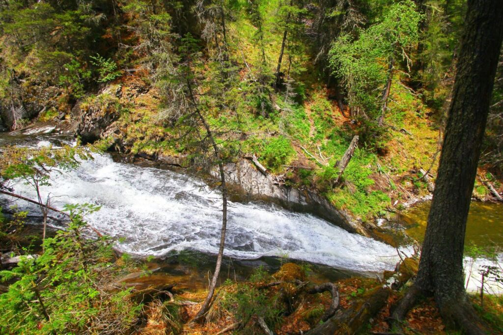 Алтай — Шинокские водопады и Денисова пещера